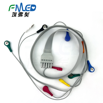 Kangtai Dynamic Ten Guides (12)